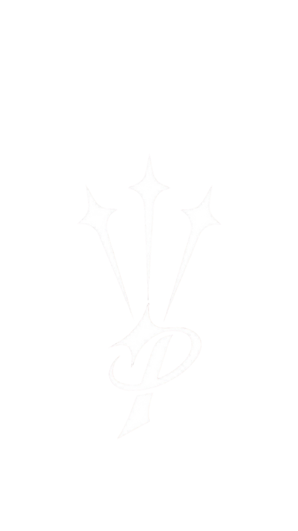 P&P CREATIVE APPAREL LLC